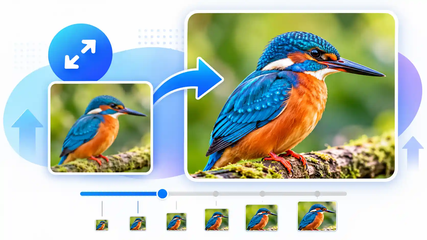 Image Enlarger online