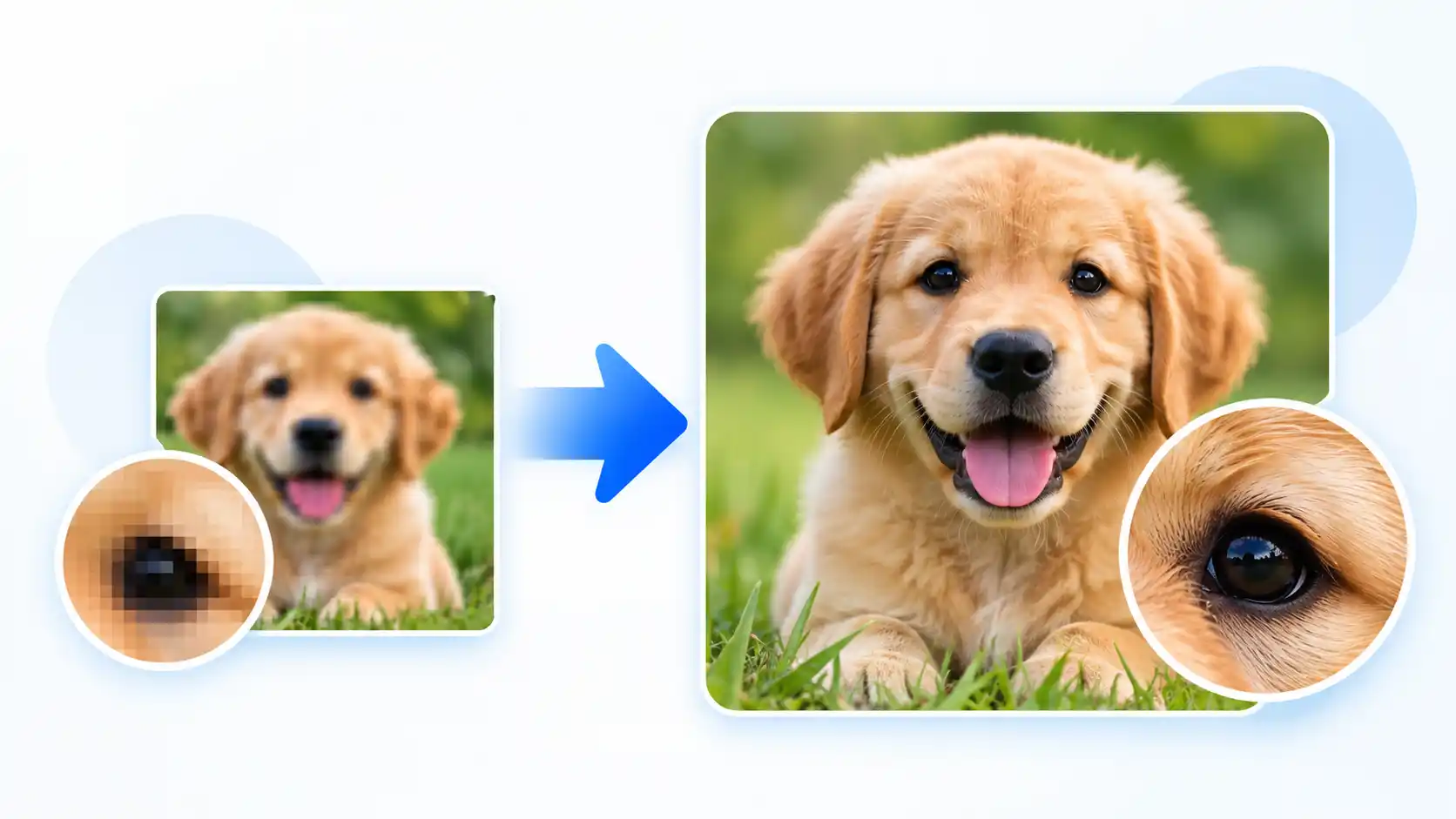 Image Upscaler online tool showing how to upscale an image