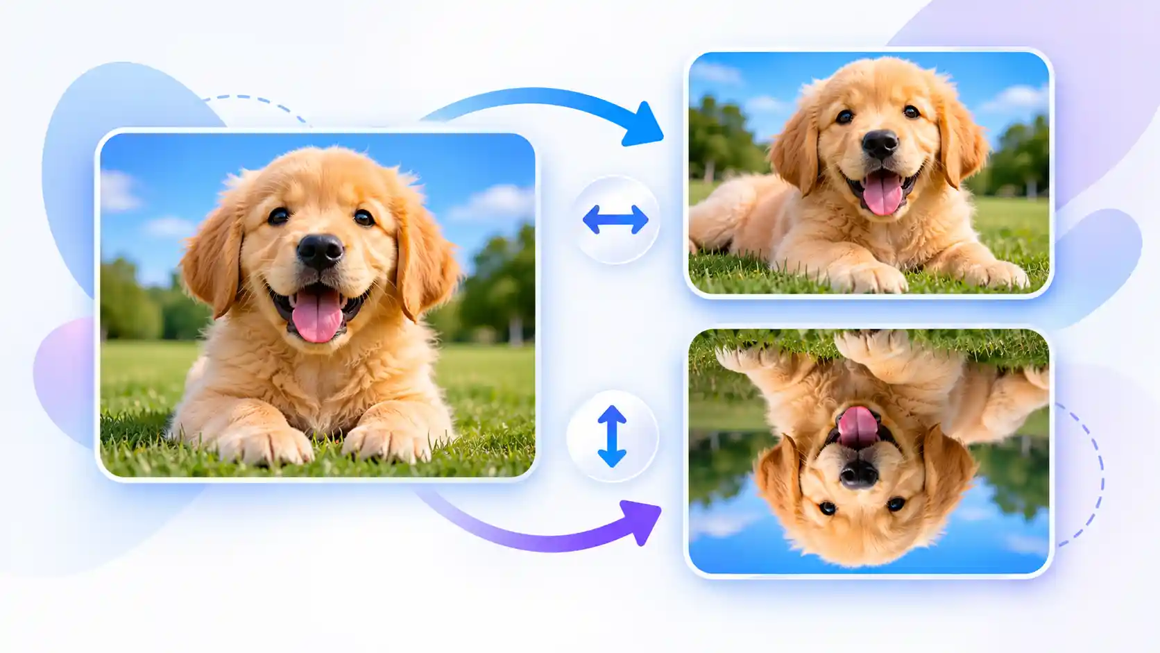 Flip GIF tool for horizontal and vertical flipping